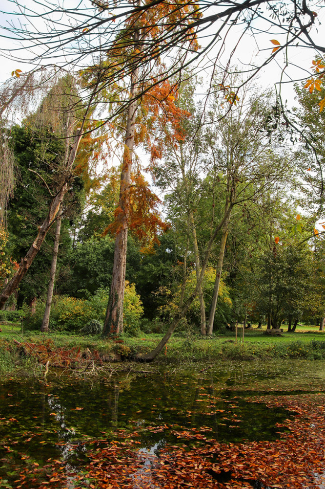 Schloss Paffendorf - Parkidylle
Marianne
Schlüsselwörter: 2025