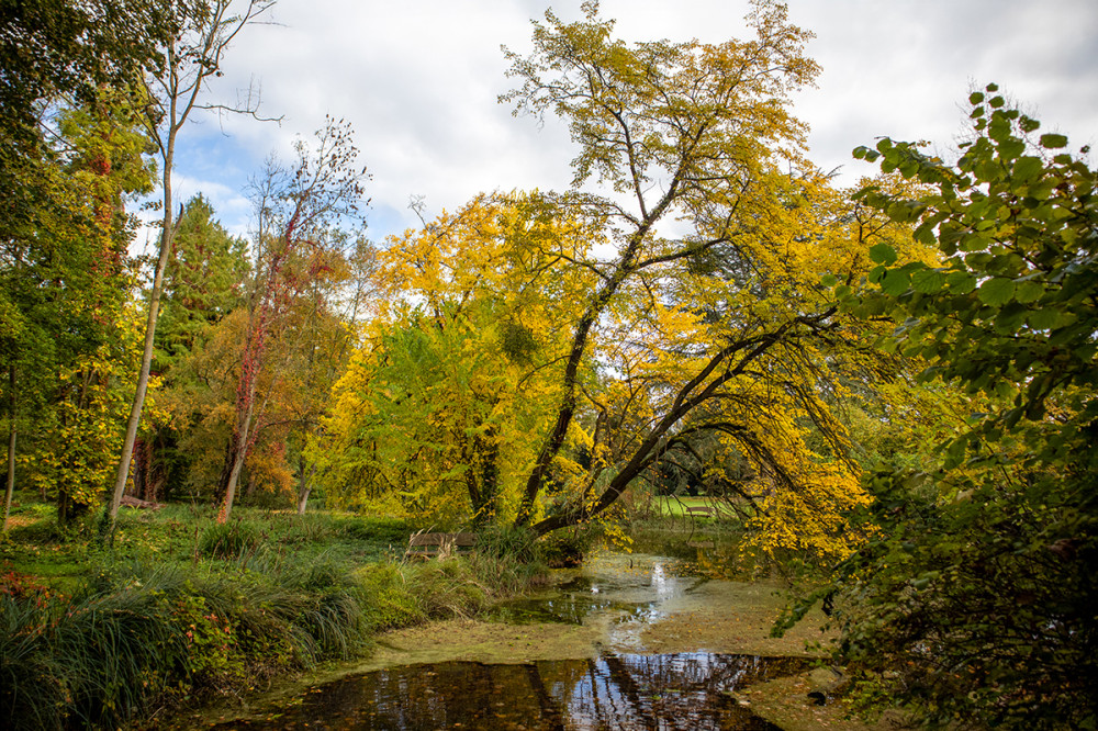 Schloss Paffendorf - Herbstfarben
Marianne
Schlüsselwörter: 2025