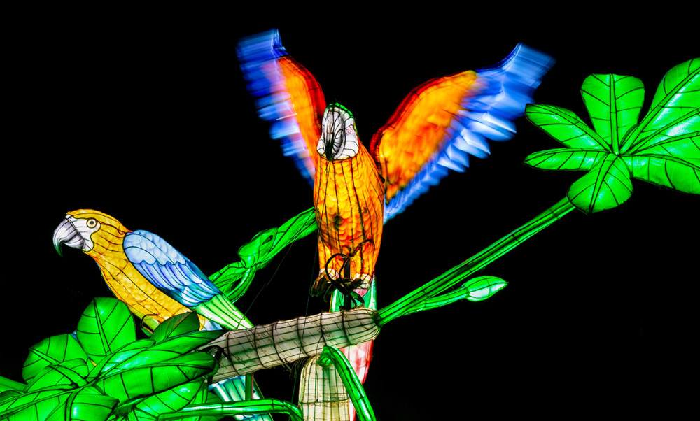 China Lights - Vögel
Marianne
Schlüsselwörter: 2025