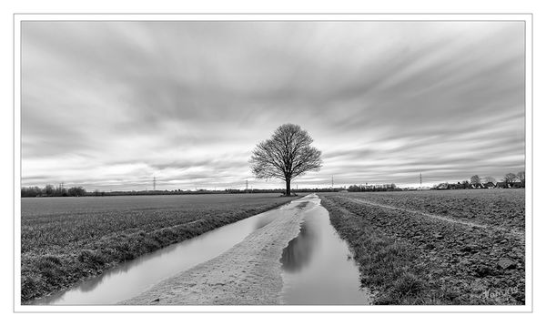 Mein Freund der Baum
64 Sekunden
Schlüsselwörter: ND Filter, Baum