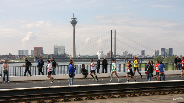 Auf der Oberkasseler Brücke
Metro Group Marathon 2013
Schlüsselwörter: Marathon Düsseldorf Metro Group Marathon