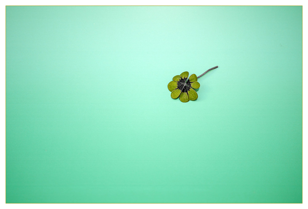 Minimalistisch "Vierblättiges Kleeblatt"
Marianne
Schlüsselwörter: 2026