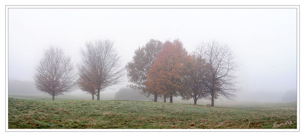 Herbstnebel
Nebel wie Dunst unterscheiden sich von Wolken nur durch ihren Bodenkontakt, sind jedoch ansonsten nahezu identisch mit ihnen.
laut Wikipedia
Schlüsselwörter: Herbst Nebel Bäume