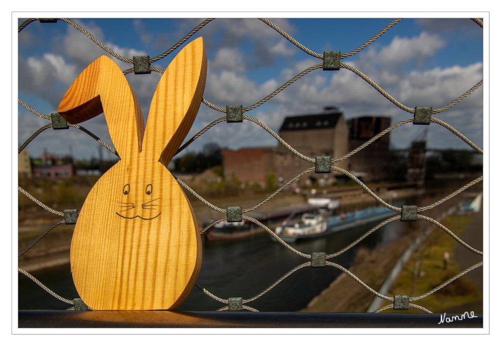 Bin schon da...
Hase im Neusser Hafen
Der Neusser Hafen ist ein Hafen auf der linken Seite des Niederrheins in Neuss. Er entstand 1835 durch einen Ausbau eines ehemaligen Seitenarms des Flusses. Die Einfahrt des Hafens hat eine Höhe von 30 m NN. Der Hafen besitzt fünf Hafenbecken. lt.Wikipedia
Schlüsselwörter: 2026