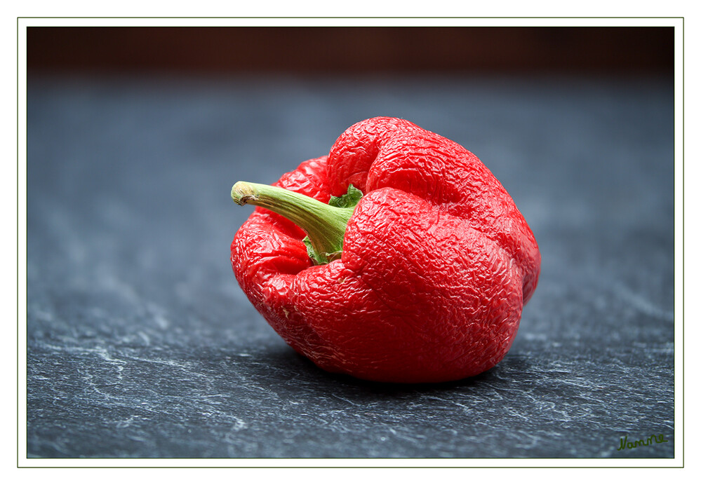 Nichts ist perfekt
Eine ältere Paprika die trotzdem noch gegessen wurde.
Schlüsselwörter: Paprika; 2023