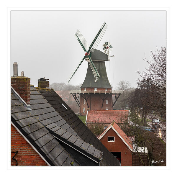 Greetsiel - Blick auf die grüne Mühle
Im Jahre 1613 stand am heutigen Standort der grünen Mühle eine Bockwindmühle. Diese wurde im Februar 1662 bei einem Sturm so schwer beschädigt, dass sie abgerissen und durch einen Neubau ersetzt wurde. Der Grimersumer Gutsbesitzer Bussen ließ diese Mühle ab 1856 zu einem zweistöckigen Galerieholländer, der seinerzeit modernsten Entwicklung der klassischen Windmühle, umbauen. laut Wikipedia
Schlüsselwörter: Nordsee; Greetsiel