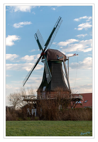 Mühle Westerbur
Westerbur hat seit vielen Jahrhunderten eine Windmühle, die infolge der küstennahen Lage auch als Seezeichen diente. Die ursprünglich vorhandene Bockwindmühle wurde 1646 als Pachtmühle des Johann Gerdts aktenkundig gemacht. Um 1750 bezeichnete man sie als "herrschaftliche Mühle", die an den Müller Willem Galtets in Erbpacht ausgegeben war. Der Müller mußte sie unterhalten, während die Materialanfuhr bei Neubauten den eingesessenen Hausleuten zu Uppum, Westeraccum, Westerbur und Middelsbur oblag". 
laut sielmuehle
Schlüsselwörter: Nordsee;