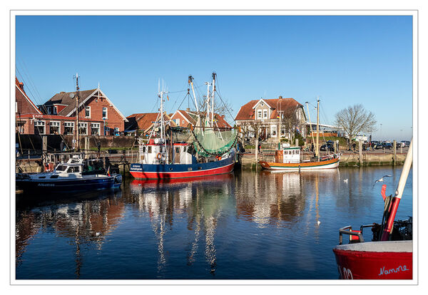 Neuharlingersiel - Kutterhafen
Die Kutter fahren immer noch raus auf die Nordsee um Krabben zu fangen.
Schlüsselwörter: Nordsee; Neuharlingersiel