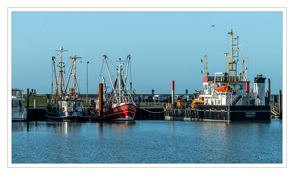 Norden 
Schlüsselwörter: Nordsee; Norden