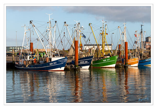 Norden - Kutterhafen
Schlüsselwörter: Nordsee; Norden