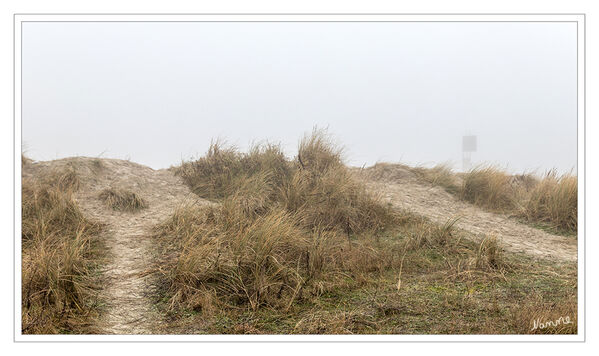 Der Weg ins Nichts
Schlüsselwörter: Nordsee; Norden