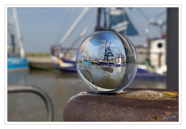 Kutter im Wremer Hafen
Der Wremer Hafen ist der älteste und südlichste an der Wurster Küste. Der Kutterhafen ist touristisches Zentrum, Hauptsehenswürdigkeit sowie Wremens Tor zur Weser-, Nordsee und zur Welt. Neben seiner Funktion als Anlegeplatz für Sport- und Freizeitboote, ist er noch immer Heimathafen von einigen Berufsfischern. wasserundeis
Schlüsselwörter: Cuxhaven