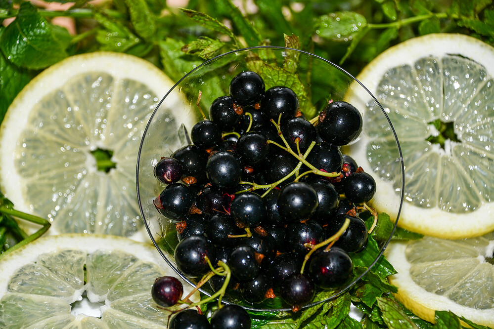 Obst und Gemüse „Alles für die Marmelade“.
Roland
Schlüsselwörter: 2021