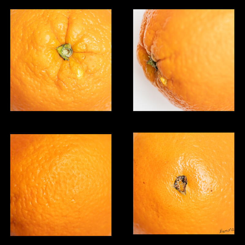 Orange
ganz nah heran und verschiedenen Blickwinkel.
Schlüsselwörter: Orange