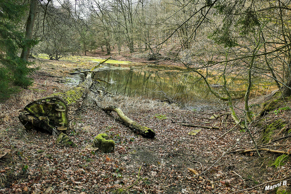 Möhneseeimpressionen
Schlüsselwörter: Sauerland