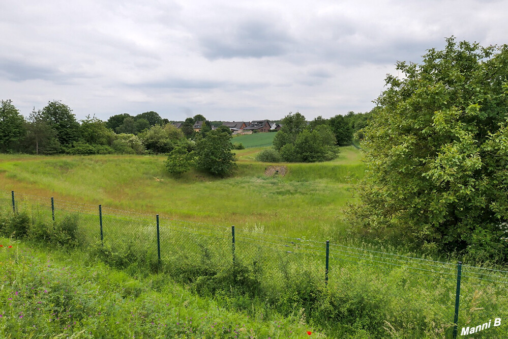 Radtour v. Brüggen in den Elmpter Bruch
Heidelandschaft
