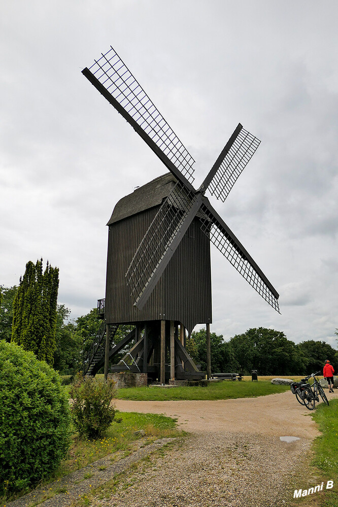 Kasten- Bockwindmühle
bei Tönisberg
