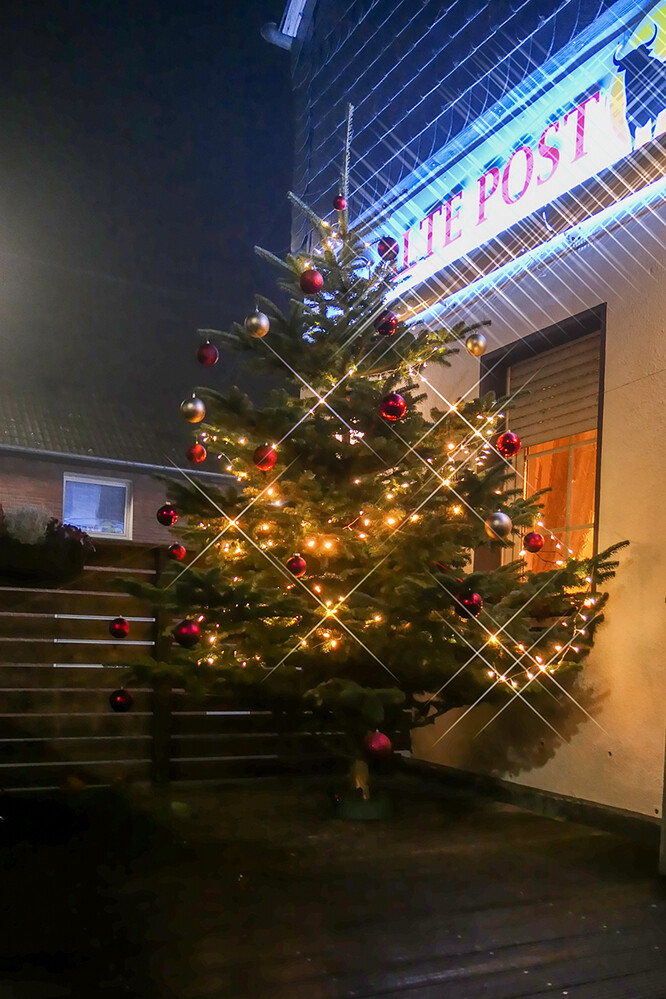 Dezemberfoto "Tannenbaum"
Manni
Schlüsselwörter: 2021