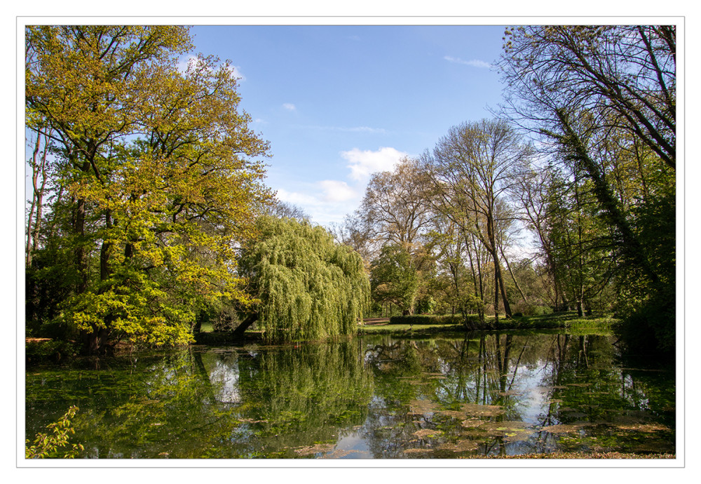 Schlosspark Paffendorf
Zum Schloss gehört ein 7,5 Hektar großer Park. Ausgedehnte Wasserflächen und zahlreiche markante Einzelbäume, unter ihnen alte Mammutbäume, Gingkos und Riesenlebensbäume, prägen das Bild. lt. schlosspaffendorf
Schlüsselwörter: 2025