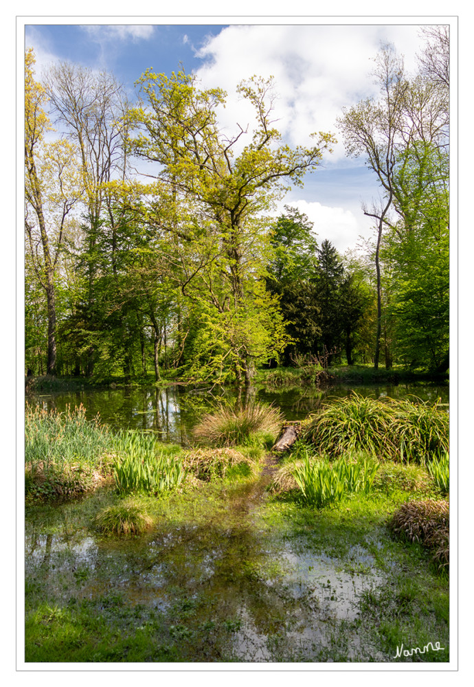 Schlosspark Paffendorf
In dem großen Park stehen viele alte und urzeitliche Bäume. Außerdem gibt es ausgedehnte Wasserflächen und ein kleines Moor. Die gepflegte Gartenanlage wurde 2004 in die Straße der Gartenkunst zwischen Rhein und Maas aufgenommen. lt. Wikipedia
Schlüsselwörter: 2025