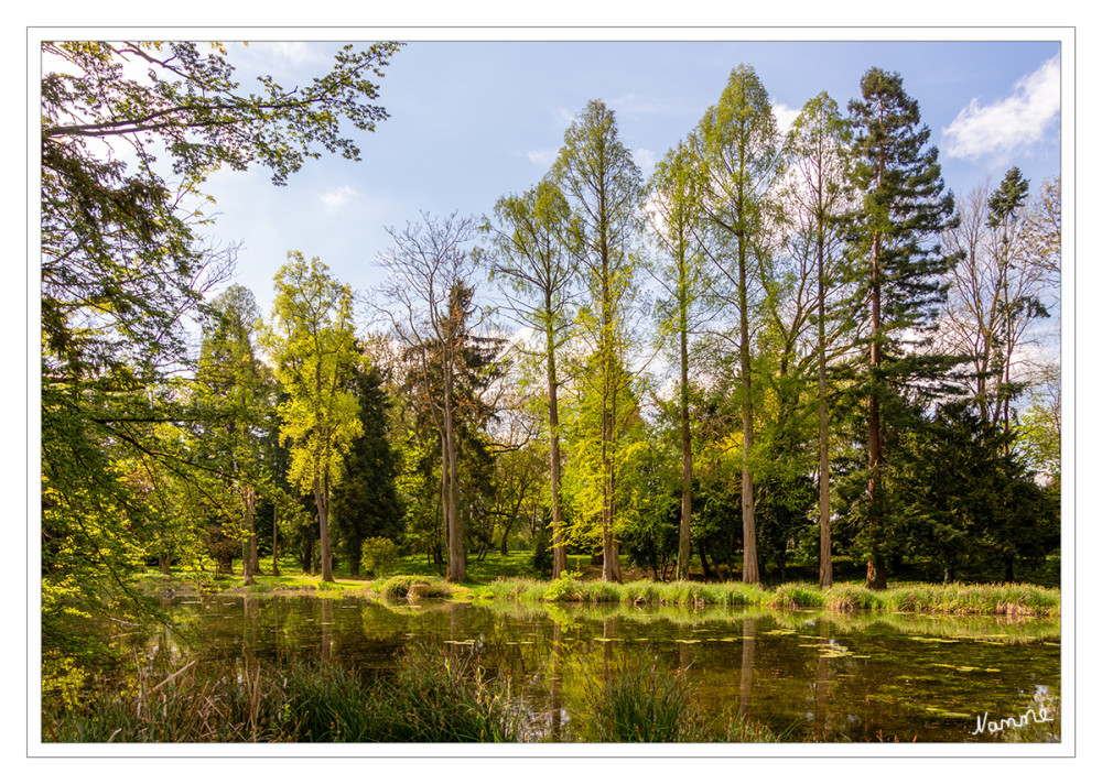 Schlosspark Paffendorf
In dem großen Park stehen viele alte und urzeitliche Bäume. Außerdem gibt es ausgedehnte Wasserflächen und ein kleines Moor. Die gepflegte Gartenanlage wurde 2004 in die Straße der Gartenkunst zwischen Rhein und Maas aufgenommen. lt Wikipedia
Schlüsselwörter: 2025