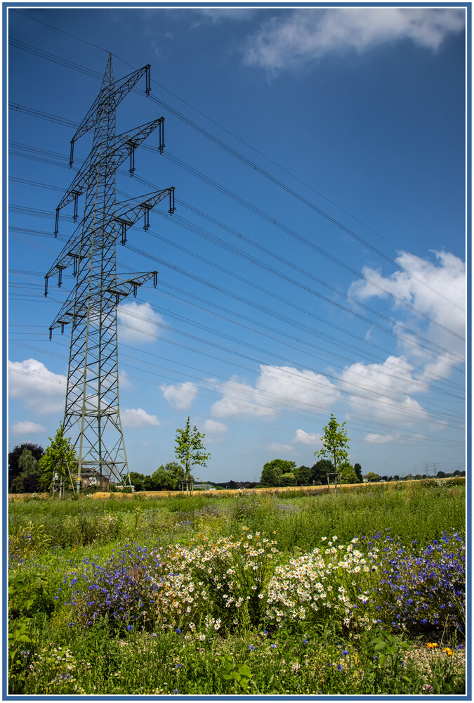 Park der Sinne - Technik und Natur
Elise
Schlüsselwörter: 2023