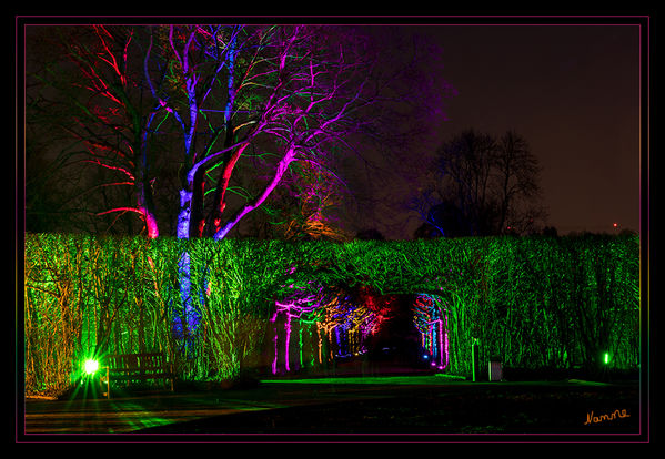 8 - Gruga - Parkleuchten
Das Areal ist wie gemacht für Illuminationen verschiedenster Art: Alter Baumbestand, ein romantisches Wegenetz und lauschige Ecken bieten eine abwechslungsreiche Kulisse für Beleuchtungen, Projektionen sowie Licht- und Schattenspiele. Die Bäume scheinen bunt. Den Wegesrand säumen Lichtobjekte. Darunter grafische Elemente, Abstraktes und Originelles. laut grugapark 
Schlüsselwörter: Essen, Parkleuchten