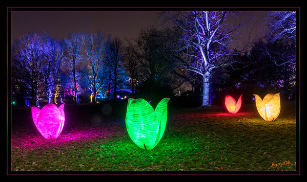 Gruga - Parkleuchten
Das Areal ist wie gemacht für Illuminationen verschiedenster Art: Alter Baumbestand, ein romantisches Wegenetz und lauschige Ecken bieten eine abwechslungsreiche Kulisse für Beleuchtungen, Projektionen sowie Licht- und Schattenspiele. Die Bäume scheinen bunt. Den Wegesrand säumen Lichtobjekte. Darunter grafische Elemente, Abstraktes und Originelles. laut grugapark
Schlüsselwörter: Essen, Parkleuchten