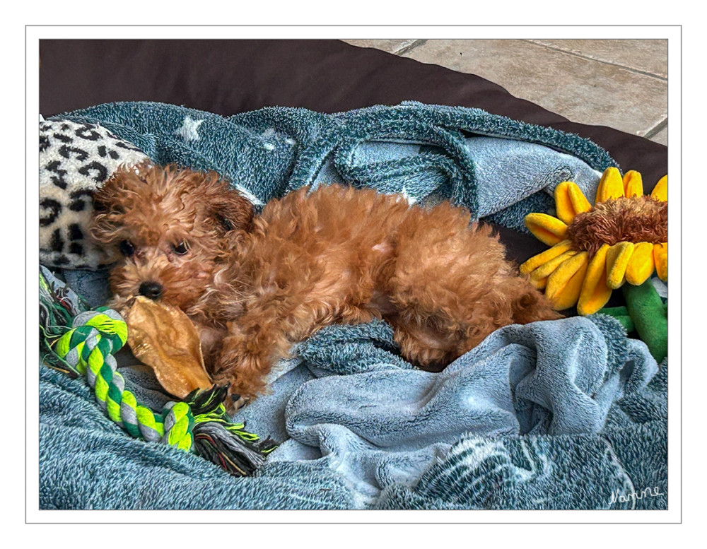 18 - Alles meins
Schlüsselwörter: 2026