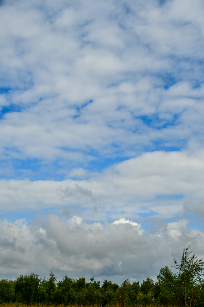 Am Himmel "Wolkenformation"
Perla
Schlüsselwörter: 2025