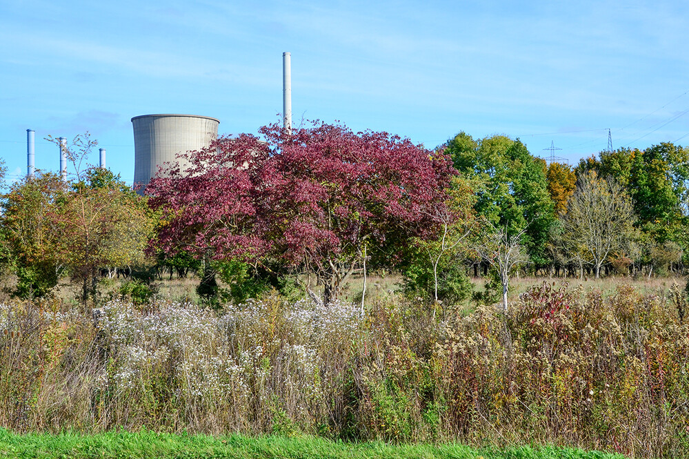 Landschaften „Industrie u. Natur“
Perla
Schlüsselwörter: 2022