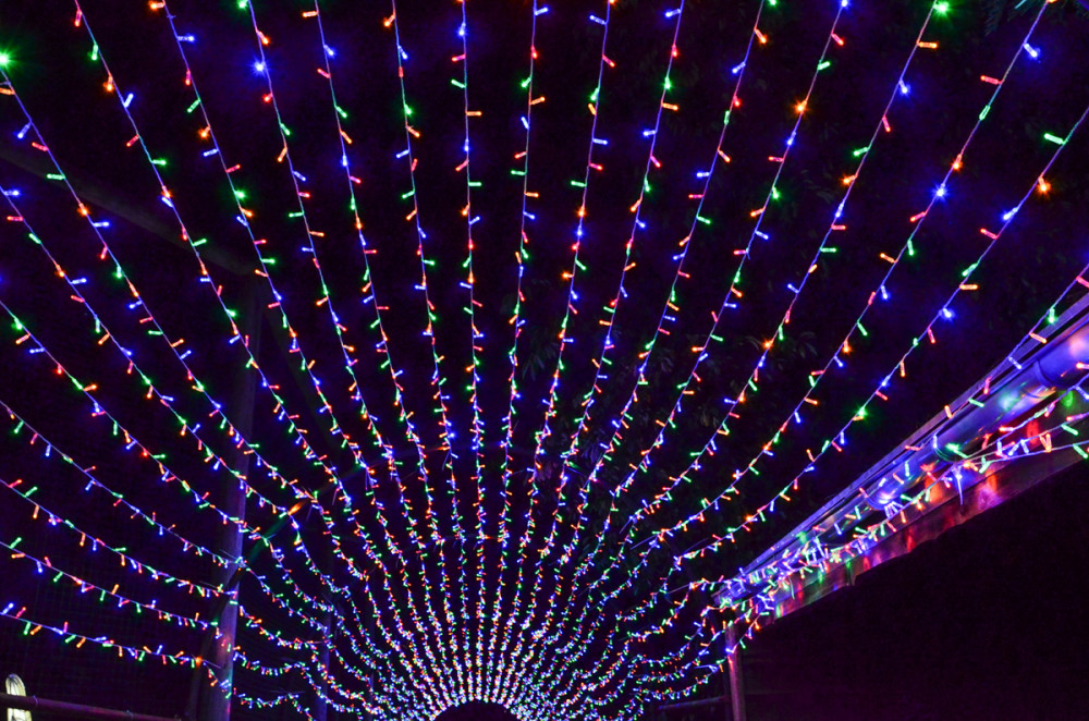 China Lights - Lichtketten
Perla
Schlüsselwörter: 2025