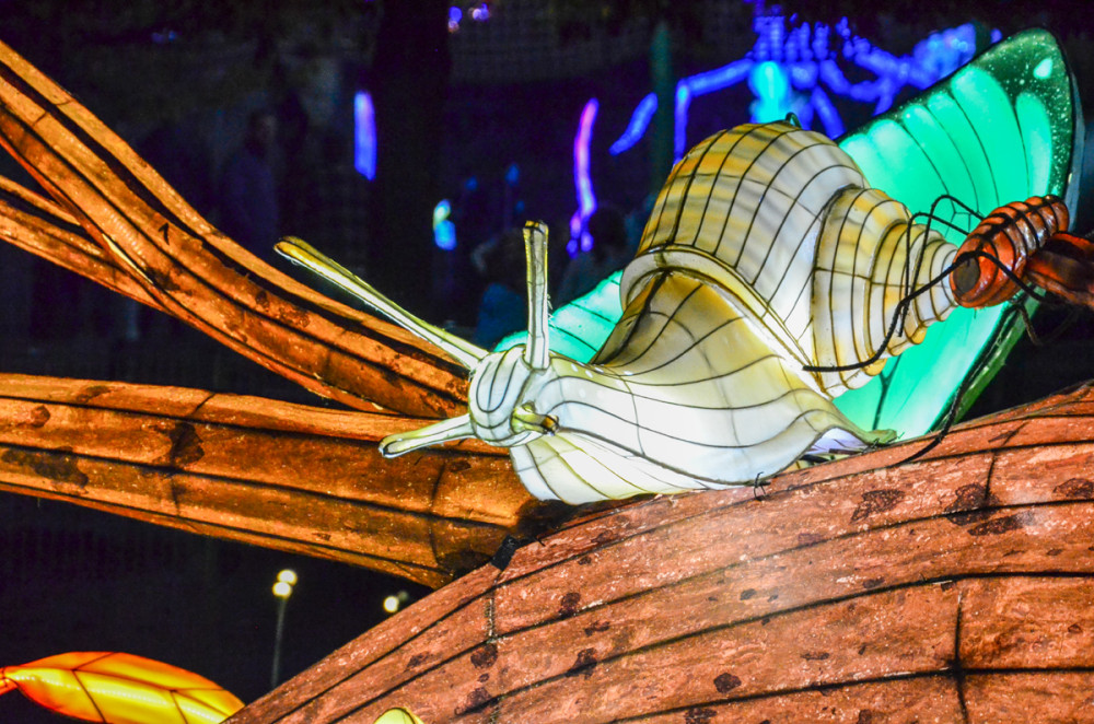 China Lights - Schnecke
Perla
Schlüsselwörter: 2025