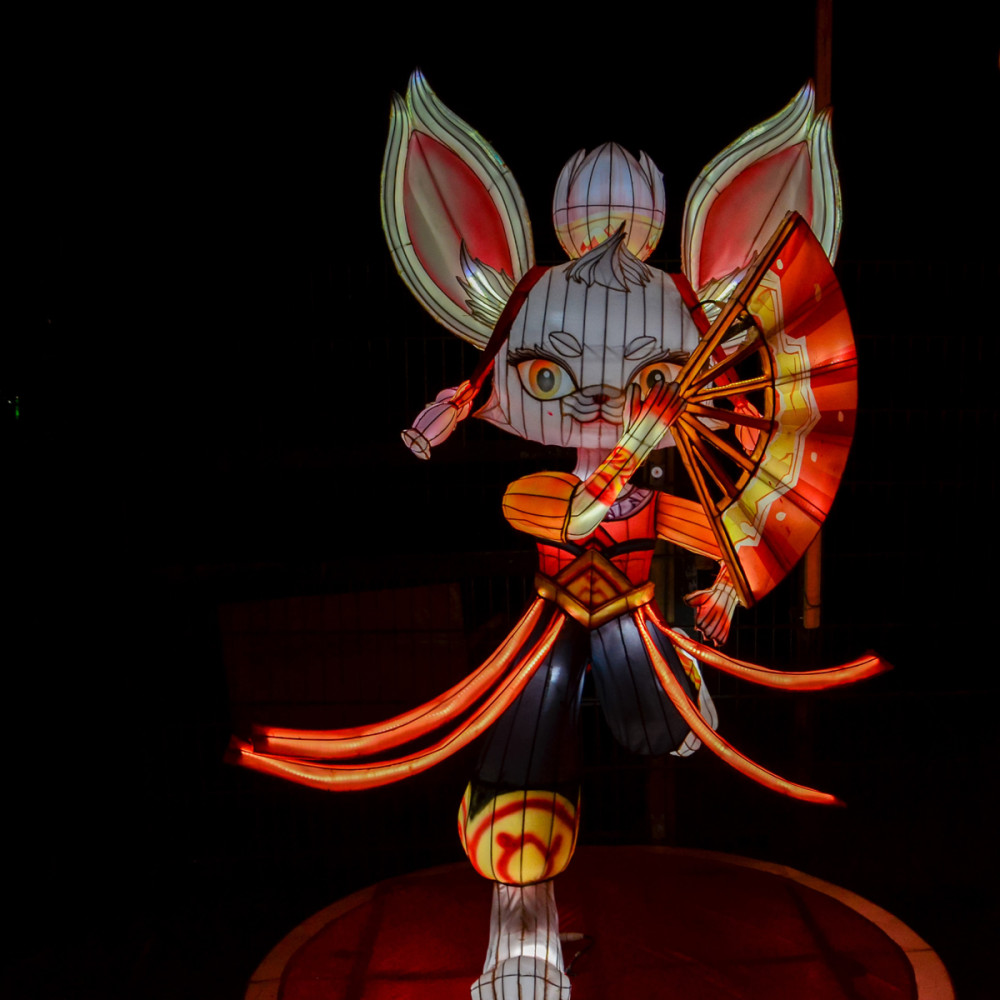 China Lights - Chinesische Tierkreiszeichen 
Perla
Schlüsselwörter: 2025