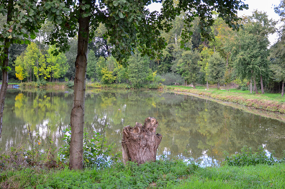 Landschaften „Teich“
Perla
Schlüsselwörter: 2022