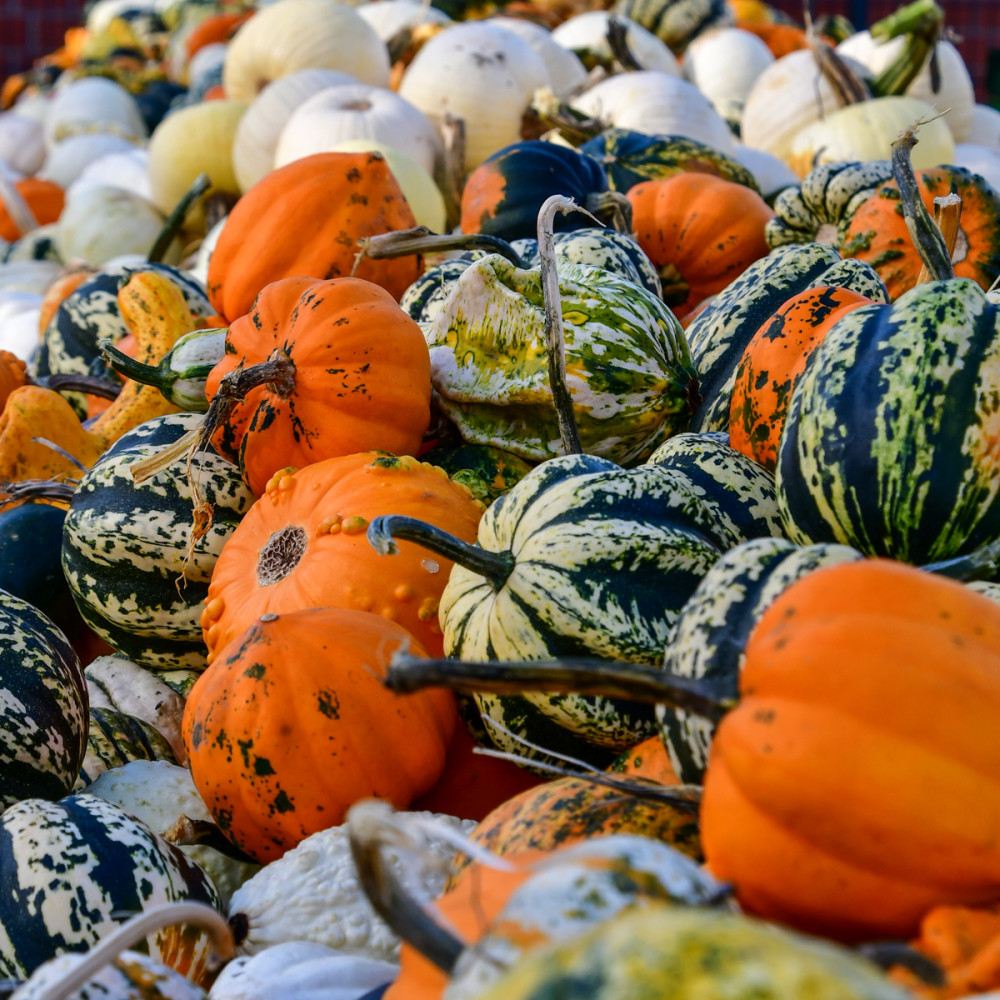 Kultur "Weltweites Kulturgut"
Perla
Schlüsselwörter: 2025