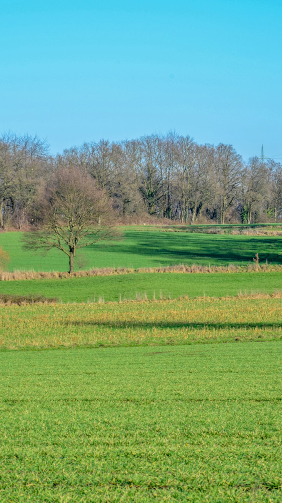 Minimalistisch "Baum"
Perla
Schlüsselwörter: 2026