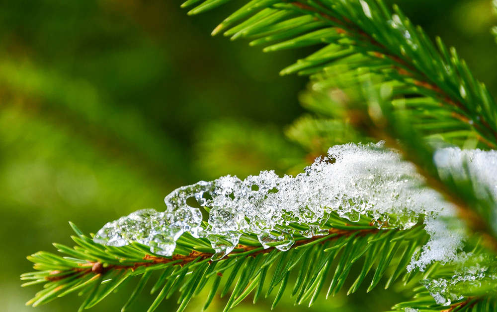 Minimalistisch "Eiskristalle"
Perla
Schlüsselwörter: 2026