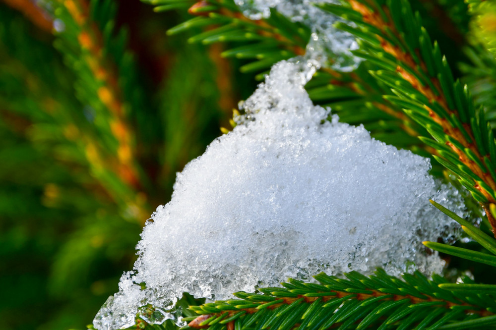 Minimalistisch "Schneehaube"
Perla
Schlüsselwörter: 2026