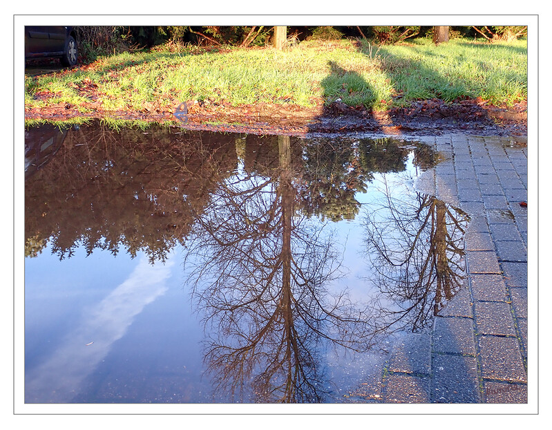 Pfützenfoto
mit dem richtigen Licht können sogar einfache Pfützen zum Motiv werden.
Schlüsselwörter: Pfütze; Wasser;