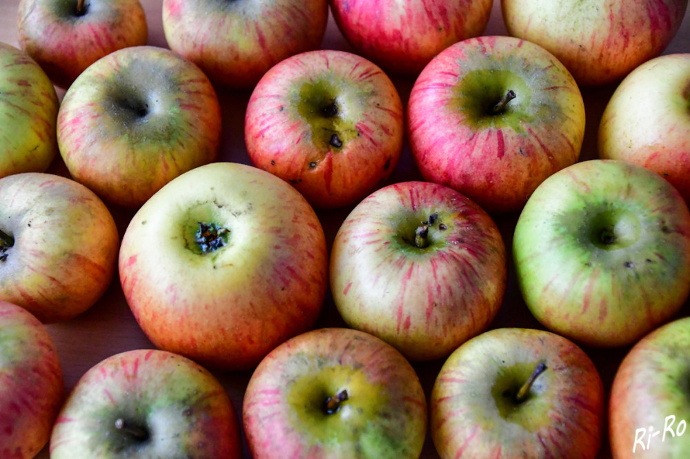 Unbehandelte Äpfel
Herbstsorten entwickeln ein intensiveres Aroma als Sommeräpfel, da sie bis zur Ernte längere Zeit Sonne tanken durften. (naturadb)
Schlüsselwörter: 2025