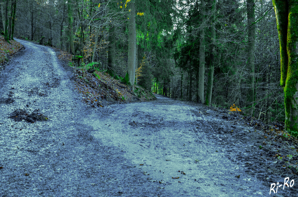 Wegkreuzung
Inmitten unberührter Natur kann man sich hier auf viele Wanderwege begeben u. die Landschaft mitsamt all ihren Naturschätzen genießen. (sauerland.de)
Schlüsselwörter: 2024