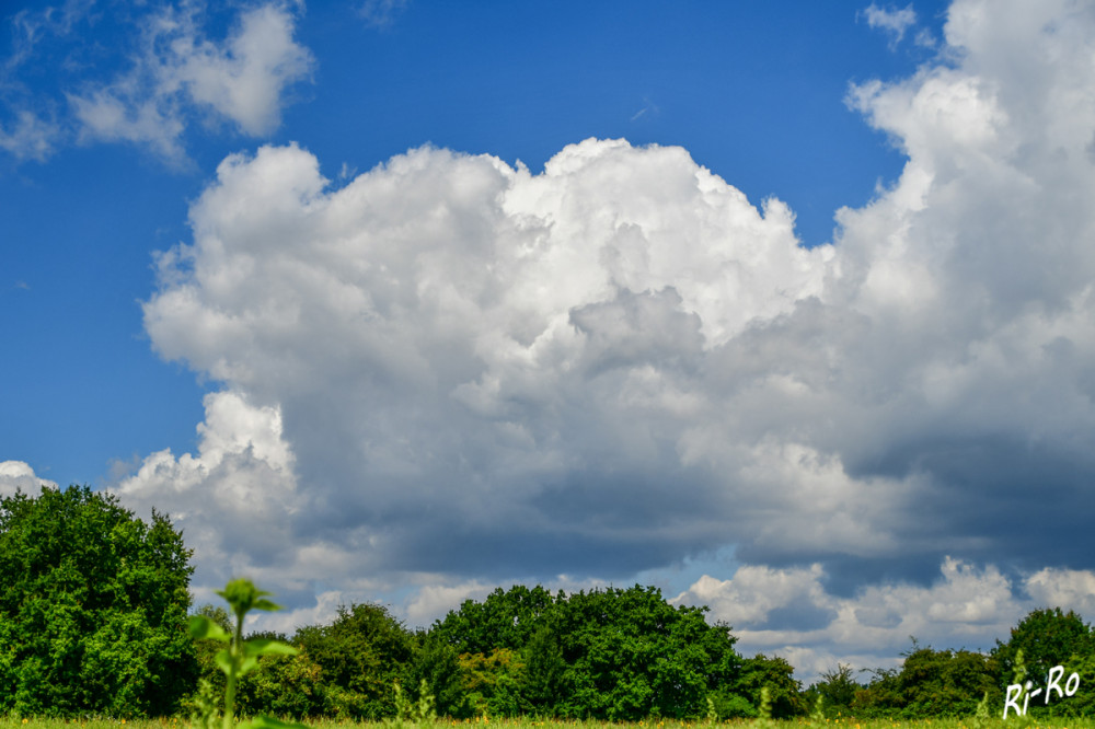 Wolken
beeinflussen den Strahlungshaushalt der Atmosphäre; sie reflektieren die kurzwellige Sonnenstrahlung u. absorbieren u. emittieren langwellige Wärmestrahlung. (bildungsserver)
Schlüsselwörter: 2025