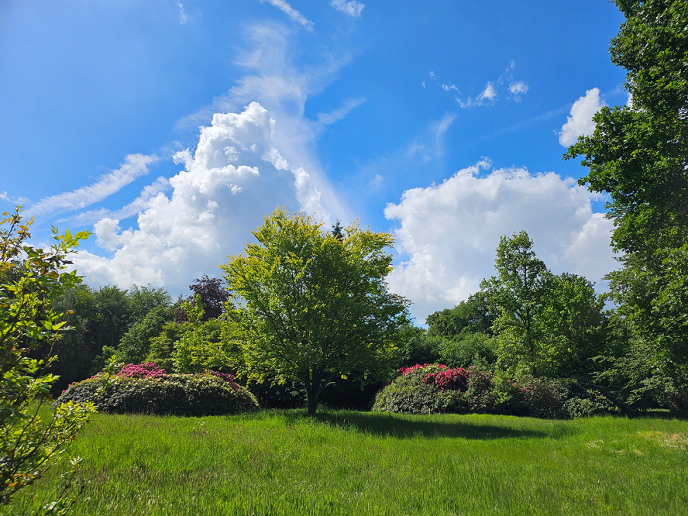 Schlosspark Heltorf - Ausblick
Ralf
Schlüsselwörter: 2026
