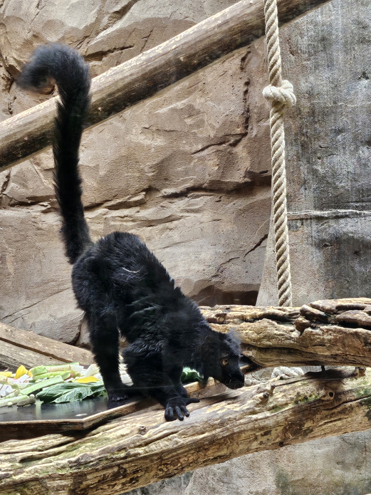 Tiere "Auf der Lauer"
Ralf
Schlüsselwörter: 2026