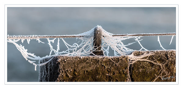 Winterzauber
Schlüsselwörter: Winter, Raureif