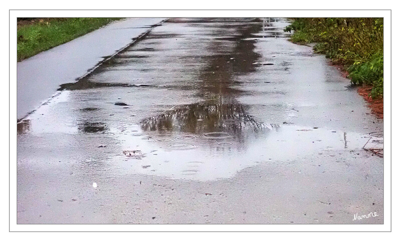 Regenwetterfoto
Heute auf unserer Hunderunde. 
Schlüsselwörter: Regen; Weg; nass