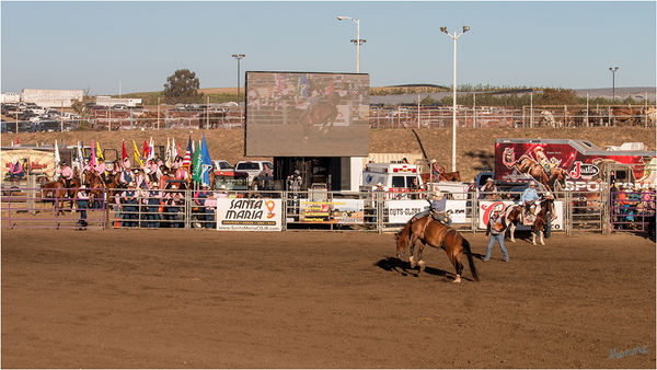 Rodeo - Pferd reiten ohne Sattel
Bareback Riding - hier muss der Reiter mindestens 8 Sekunden auf einem bockenden Pferd ohne Sattel sitzen. Dabei darf er sich mit nur einer Hand an einem "Gürtel" festhalten, während die andere frei in die Luft gestreckt werden muss und weder seinen Körper noch den des Pferdes berühren darf.
laut travelworldonline.de
Schlüsselwörter: Rodeo Pferd reiten Bareback Riding