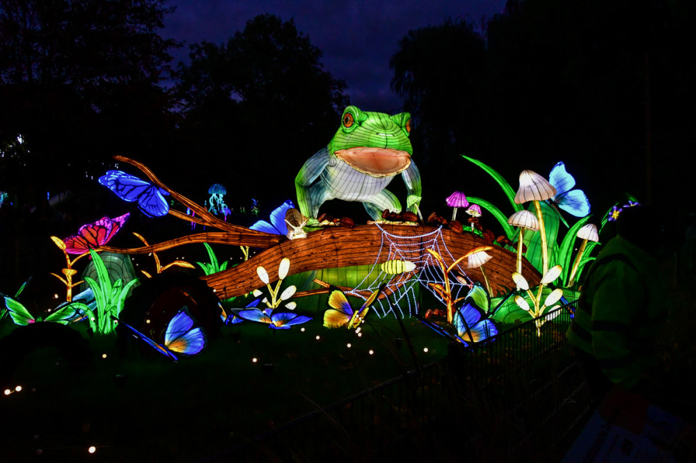 China Lights - Am Teich
Roland
Schlüsselwörter: 2025