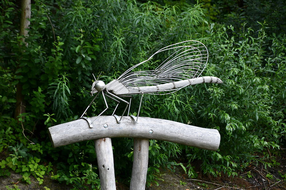 Kunst im öffentlichen Raum „Libelle –Erlebte Natur u. Kulturlandschaft“
Roland
Schlüsselwörter: 2022